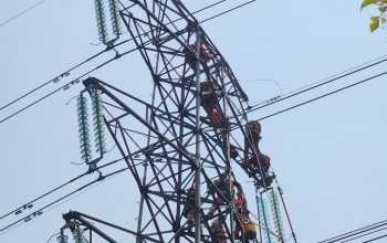 Siaga Idul Fitri 1445 H, PLN Sigap Ganti Isolator Flashover SUTT 150kV Saketi – Rangkas