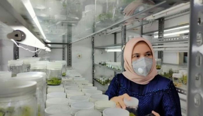 Legislator PPP Qonita Lutfiyah Minta Pemerintah Lebih Peka Terhadap Yatim pada SPMB 2025