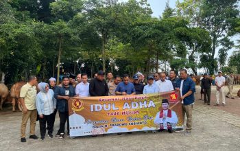 Prabowo Kurban 58 Sapi Limosin di Kecamatan Babakan Madang