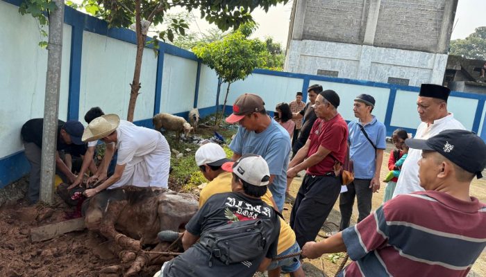 Idul Adha 2025, PWI Kabupaten Bogor Sembelih 8 Ekor Hewan Kurban