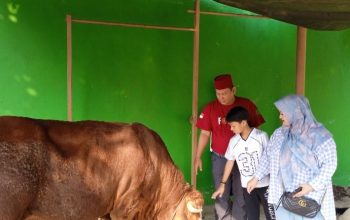 Hamzah Motong Hewan Kurban Sendiri