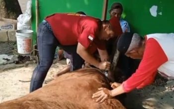 Idul Adha, Hamzah Juga Santuni Ratusan Yatim di Cimpaeun, Tapos
