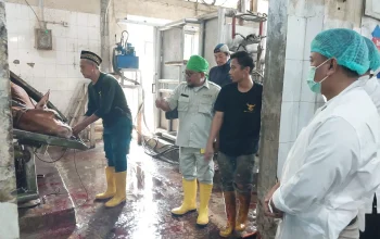 RPH di Tapos Depok Bakal Direvitalisasi