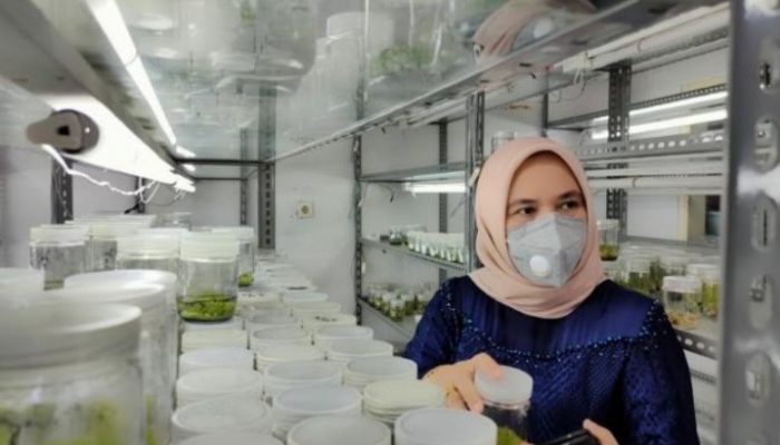 Kata si Cantik Qonita Lutfiyah Tentang Sera Mijel Sae yang Raih Rekor MURI