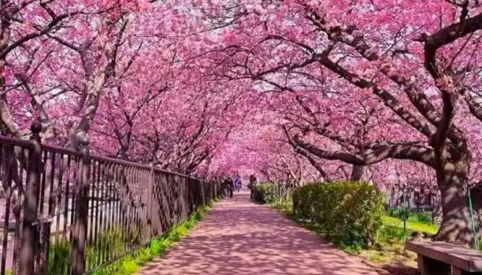 Pemkot Depok Bakal Buat Margonda Mirip di Jepang