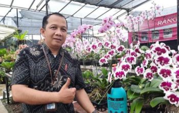 BRI KC Pasar Minggu Salurkan KUR Mikro, Usaha Anggrek Berkembang Pesat